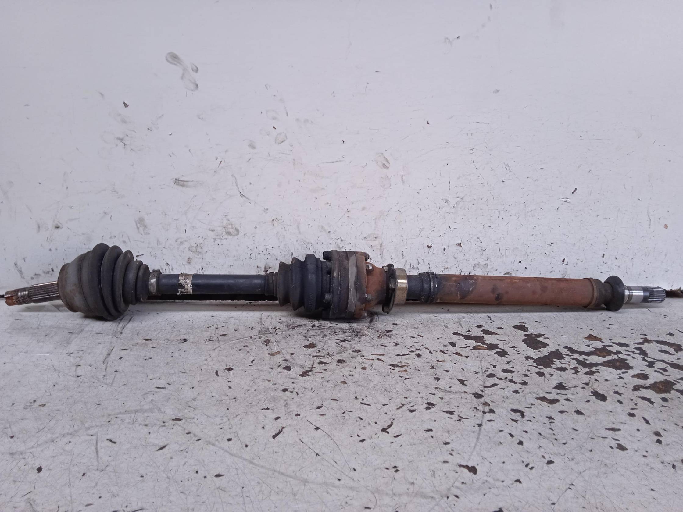 Semialbero ant. compl. dx.